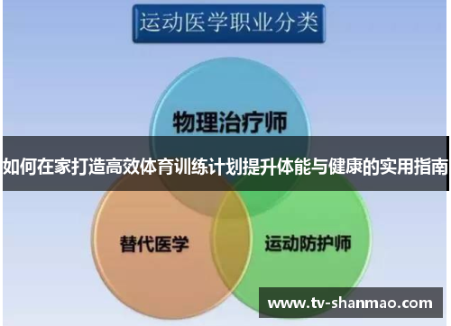 如何在家打造高效体育训练计划提升体能与健康的实用指南